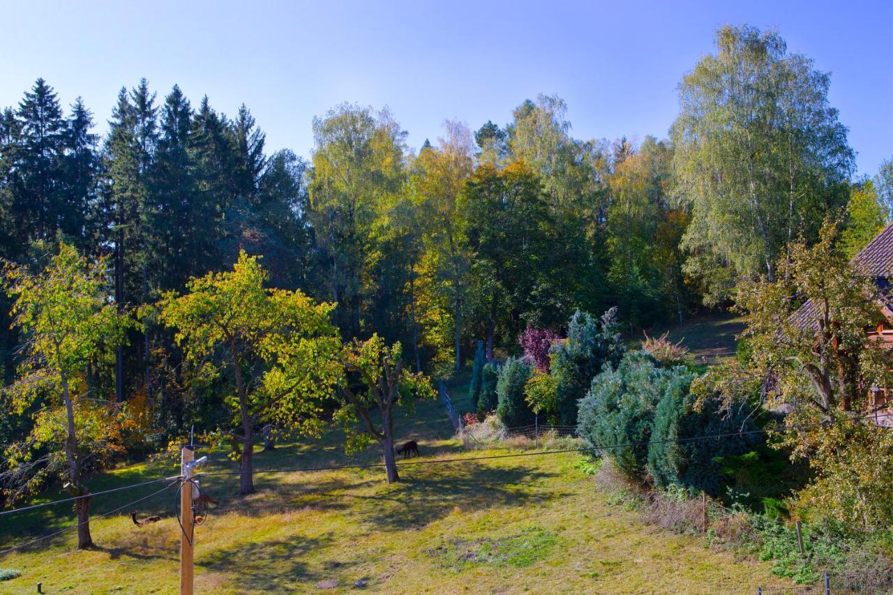 Pension Haus Fuerstenberg Beierfeld Εξωτερικό φωτογραφία