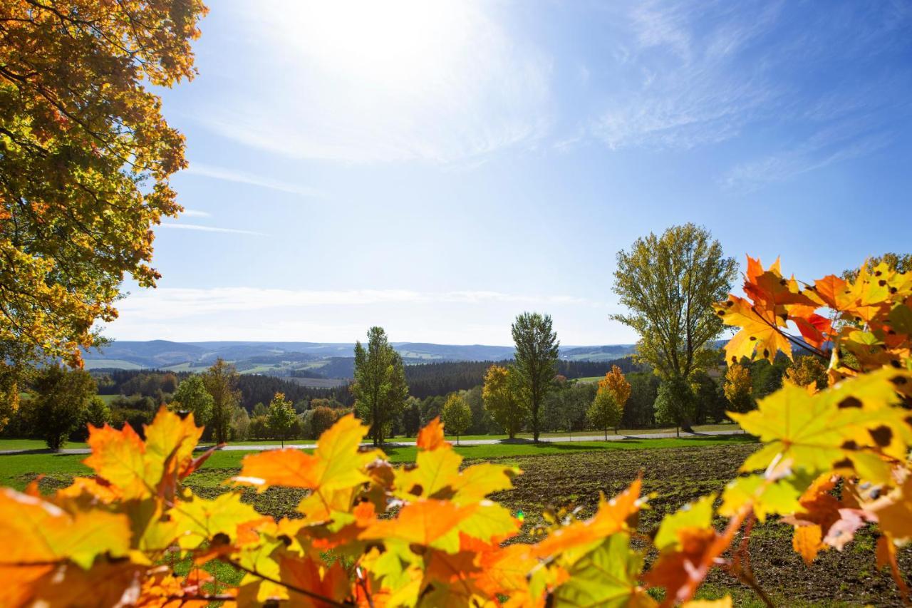 Pension Haus Fuerstenberg Beierfeld Εξωτερικό φωτογραφία